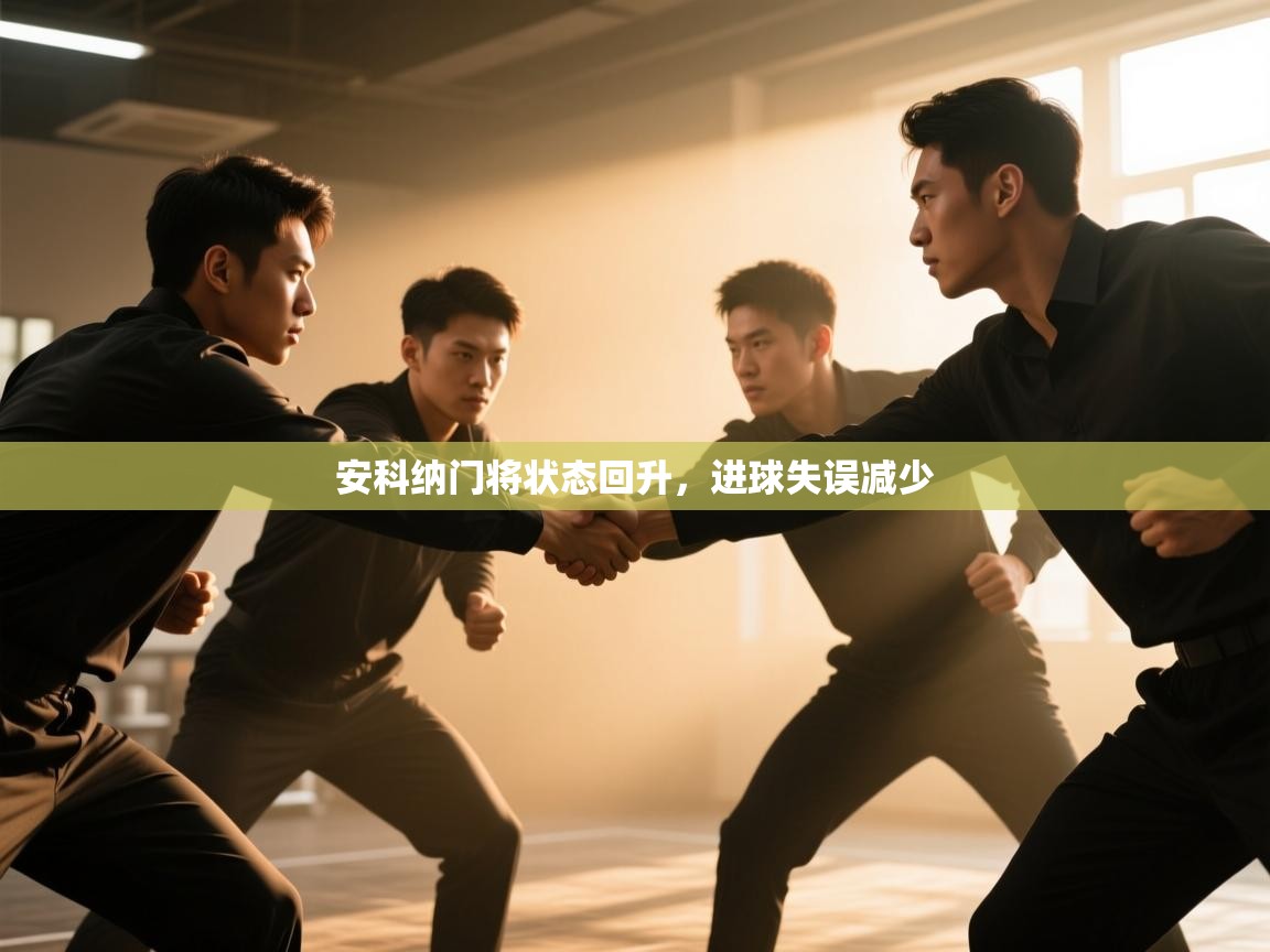 安科纳门将状态回升，进球失误减少  第2张