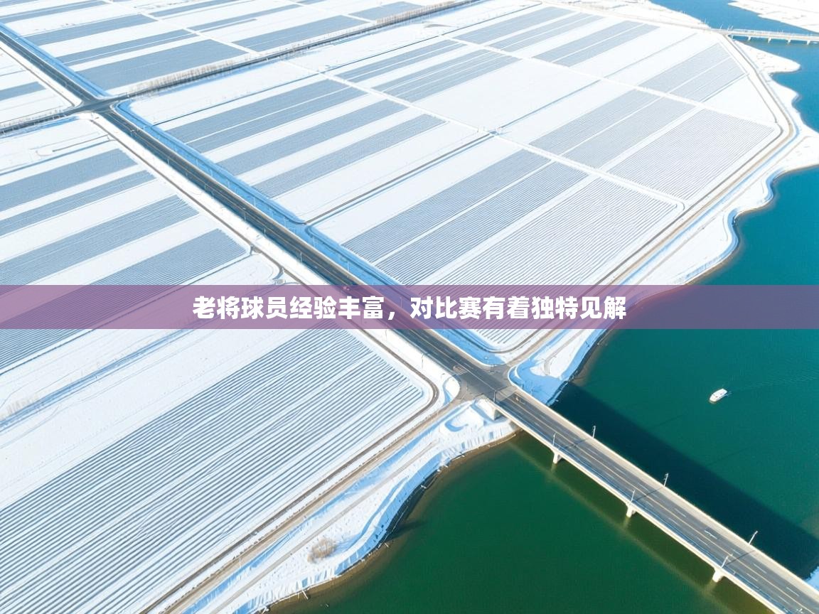 老将球员经验丰富，对比赛有着独特见解  第2张
