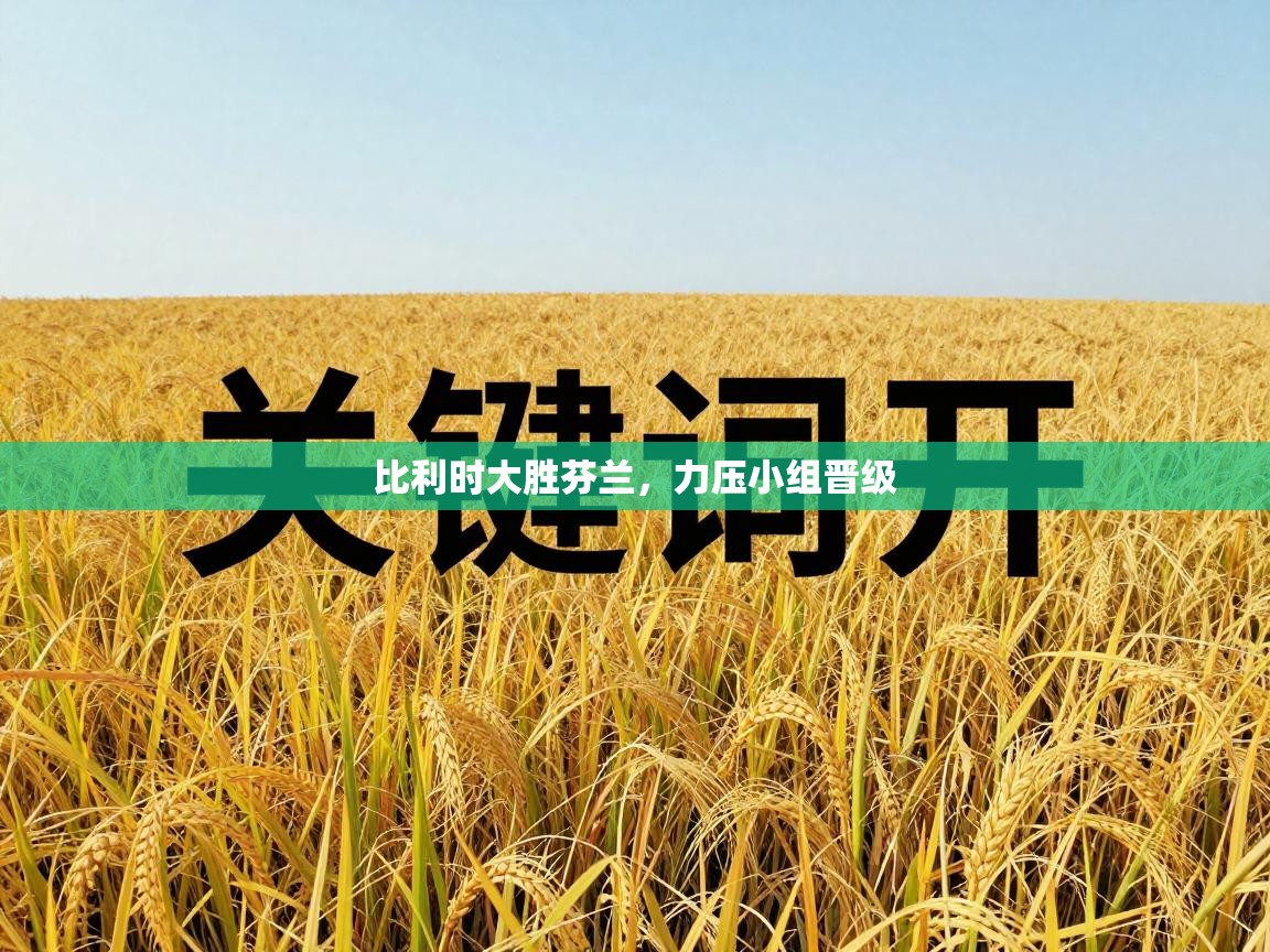 比利时大胜芬兰，力压小组晋级  第1张