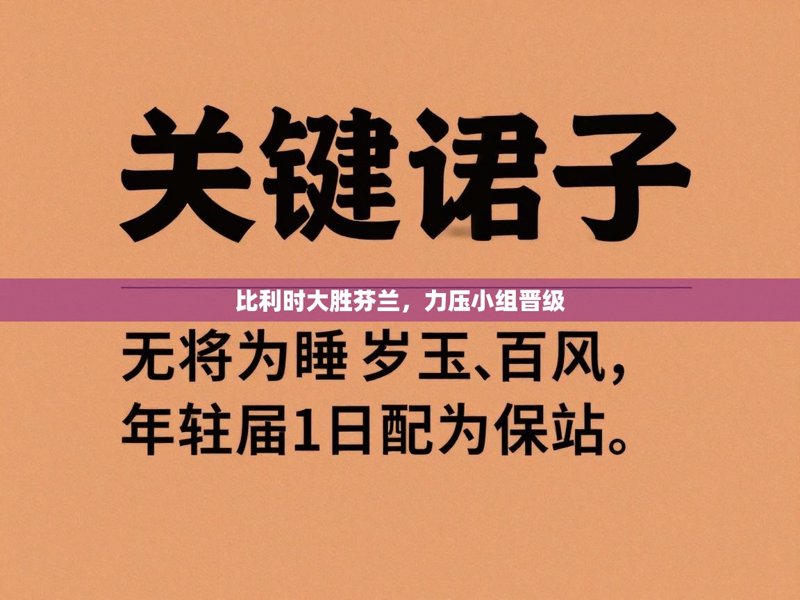 比利时大胜芬兰，力压小组晋级  第2张